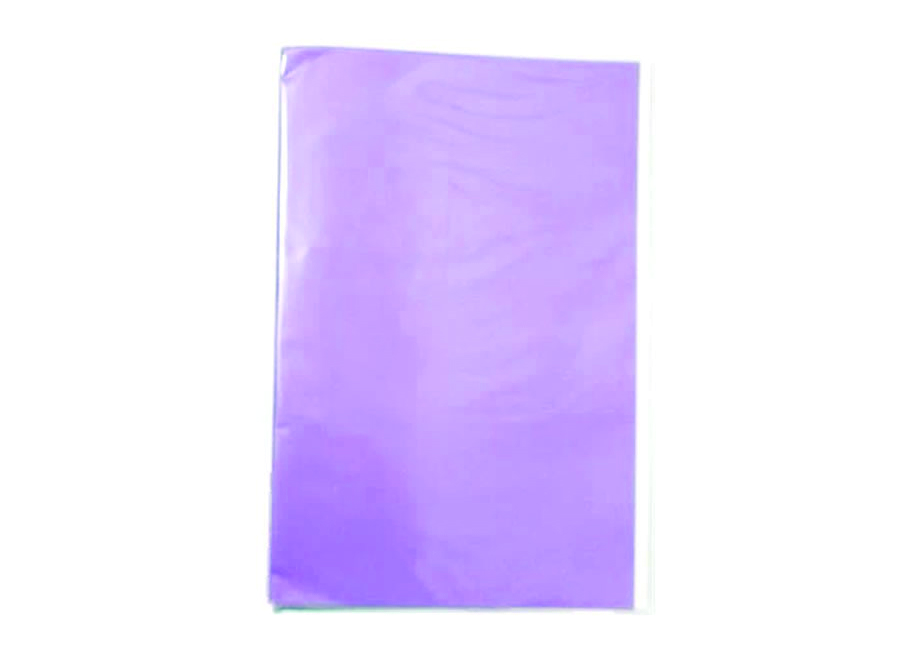  CARPETA PLASTIFICADA LILA CTE 