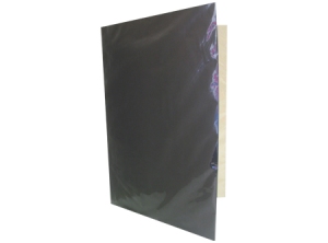  CARPETA PLASTIFICADA NEGRA CTE 