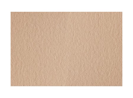  CARTULINA ESPAOLA 50X70 20HJ BEIGE-PANNA 200GR 