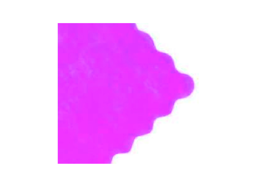  PAPEL ARROZ 20 PLIE 60X60 FUSCIA HAND 