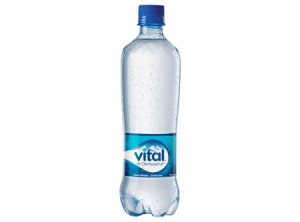  AGUA MINERAL VITAL 600 CC DESECH C/GAS 