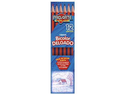  LAPIZ BICOLOR DELGADO HEXAG. DP X 12 UN PROARTE 